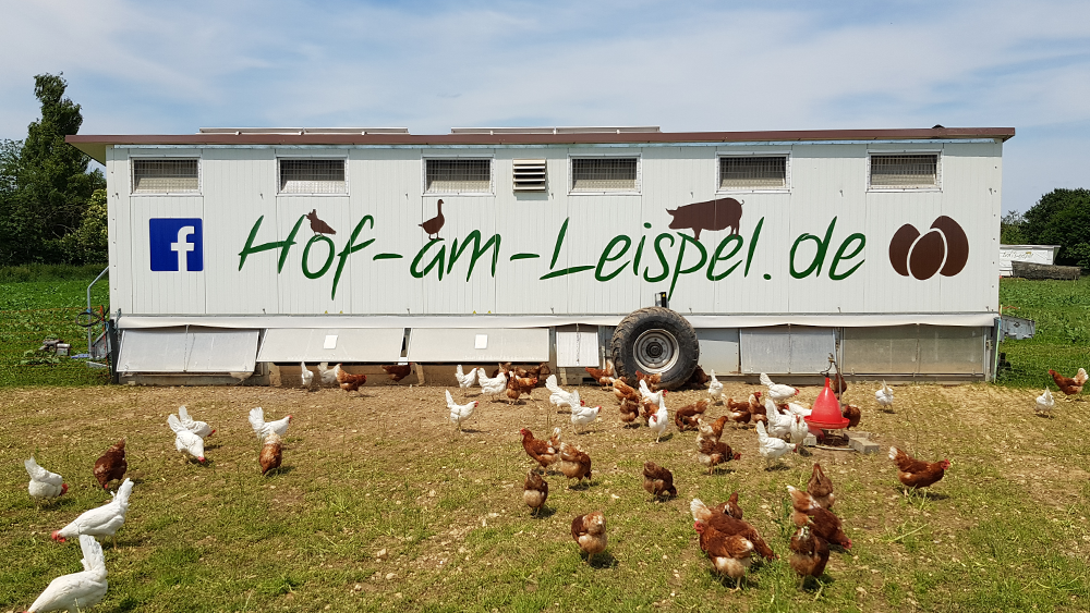 Beschriftung Hühnerstall mit Folie